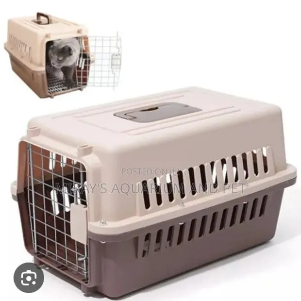 Beautiful Dog and Cat Plastic Crate · Photo 1