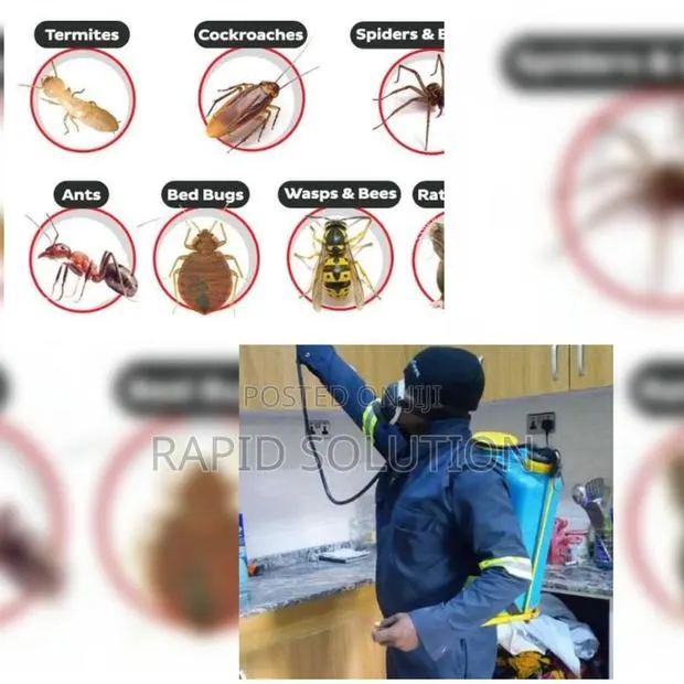 Bedbugs, Snake's, Ant, Termite Specialist · Photo 1