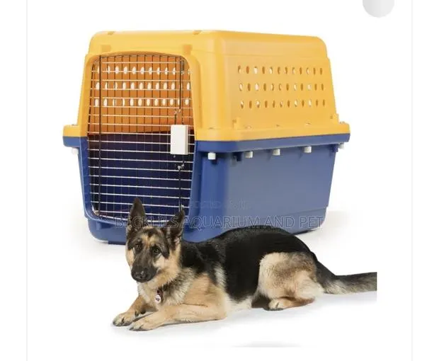MND Portable Dog Create Available · Photo 1