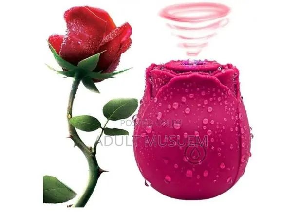 Rose Toy Pussy Stimulator for Female Orgasm and Self Pleasure · Photo 1