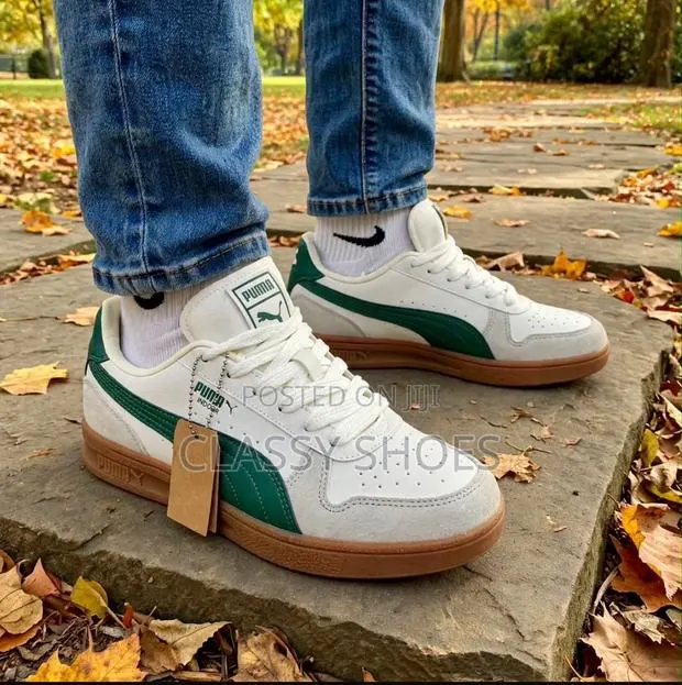 Puma Indoor Cream and Green · Photo 1