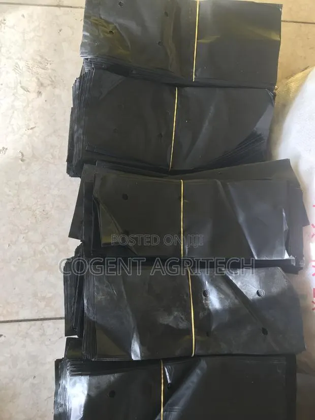 Tree Seedlings Nursery Bags · Photo 1