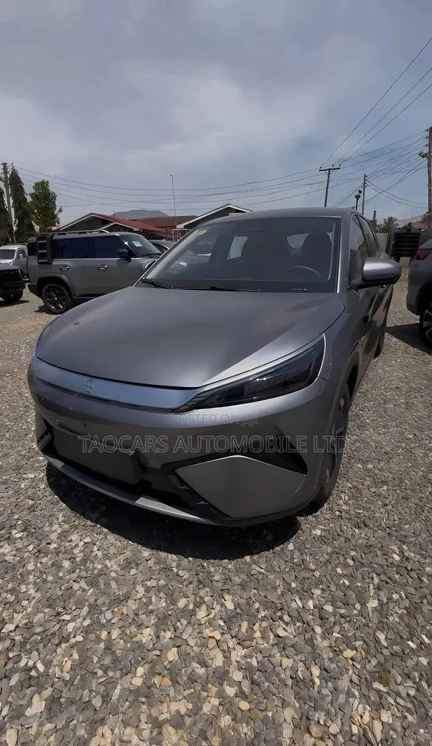 New BYD Yuan Plus 2025 Gray · Photo 1