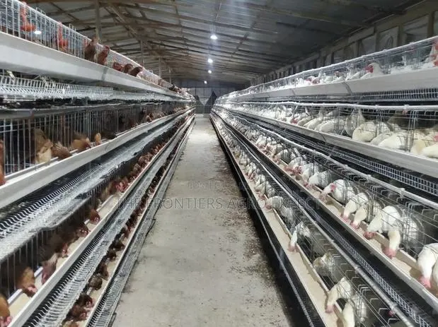 Chicken Coop With Battery Cage Installation · Photo 1