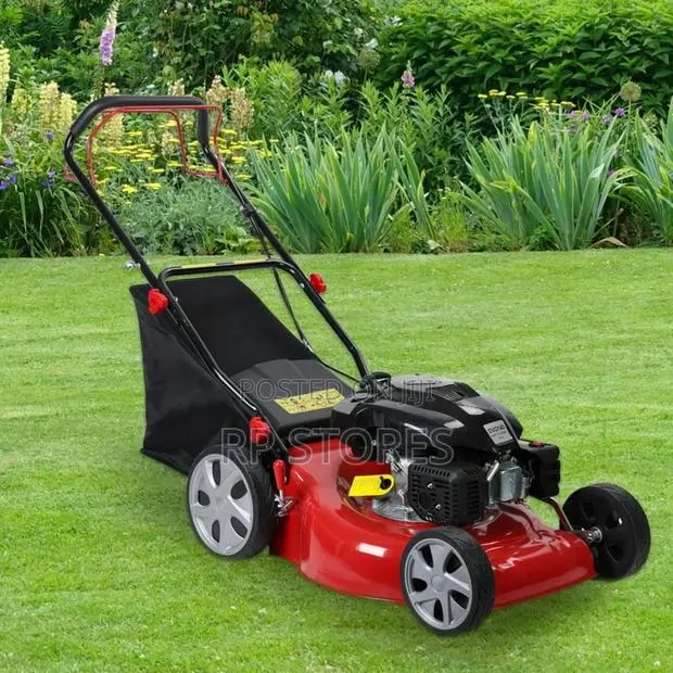 Ecoolmax Lawn Mower 4.5hp Pertrol · Photo 1