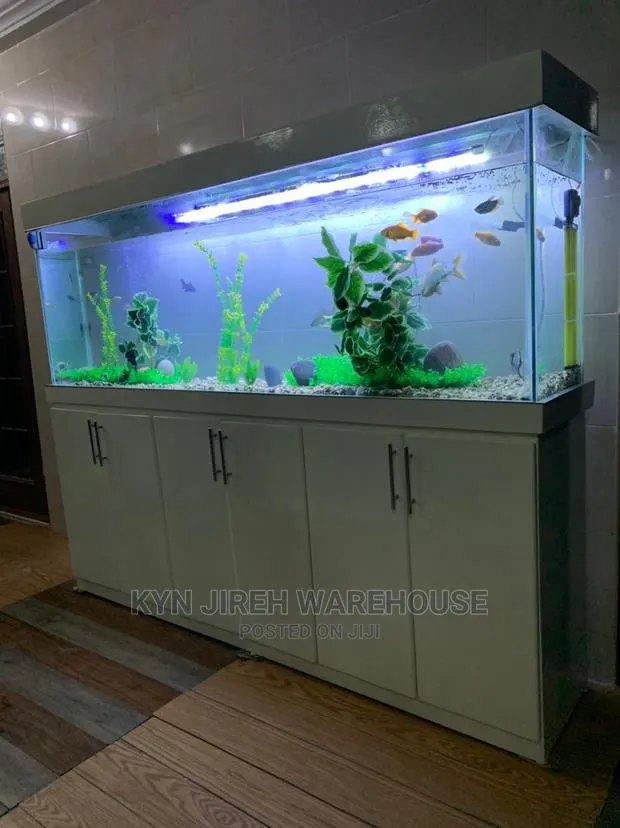 Aquarium Setup With Fishes · Photo 1