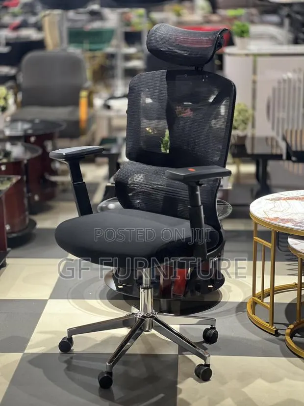 Executive Office Chair for Long Sitting Workers · Photo 1