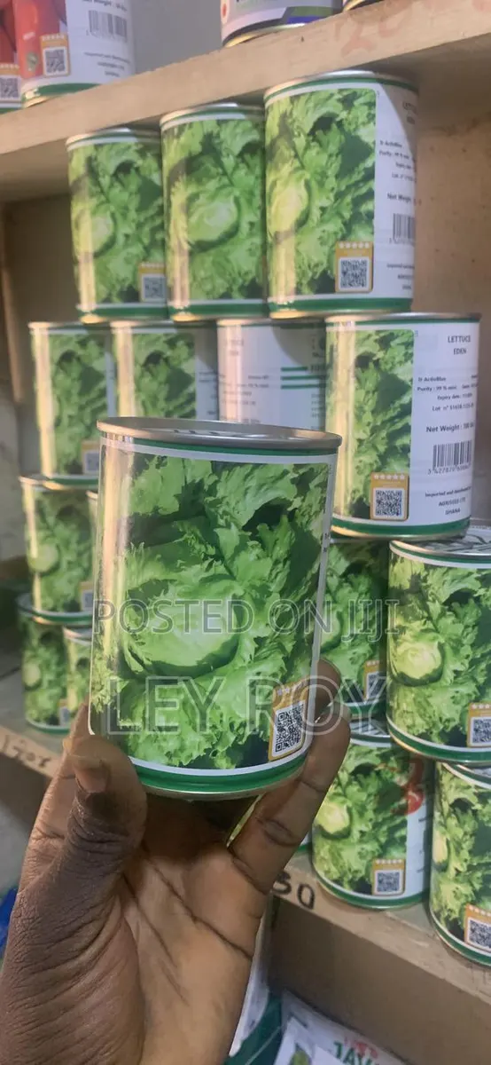 Lettuce (Eden) · Photo 1