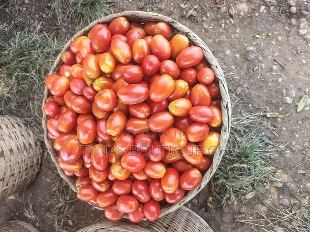 Fresh Tomatoes Straight From the Farm! · Photo 1