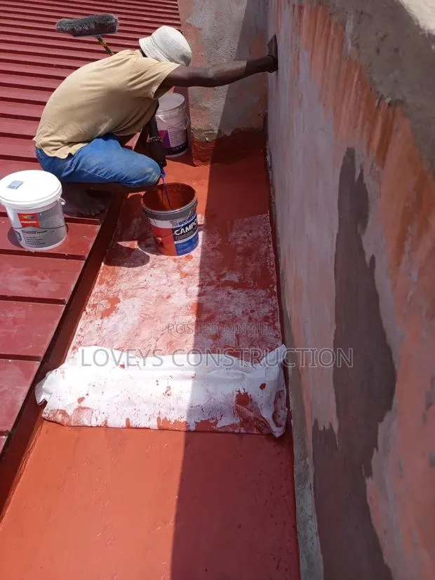 Roof Leakages Professional · Photo 1