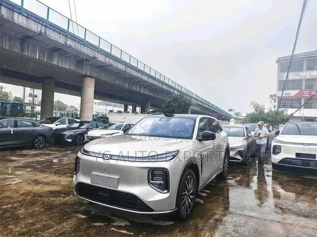 New Qiyuan Q07 2026 Gray · Photo 1