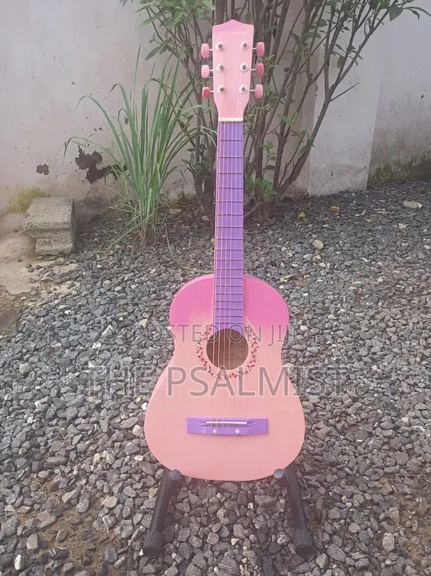 Burswood Jf30p 1/2 Acoustic Guitar · Photo 1