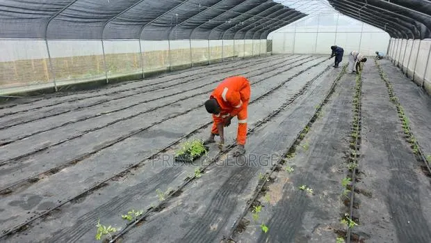 Greenhouse for Sale · Photo 1