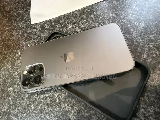 Apple iPhone 13 Pro Max 256 GB Gray