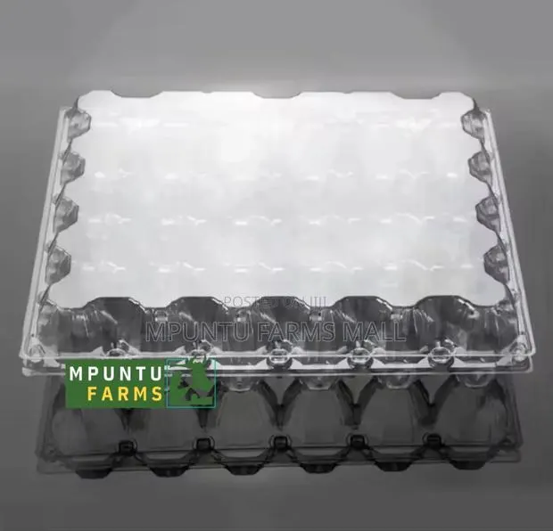 30 Holes Transparent Egg Crate · Photo 1