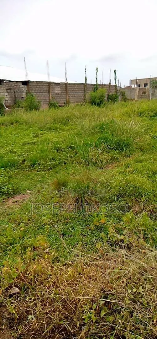 One Full Plot of Land for Sale · Photo 1