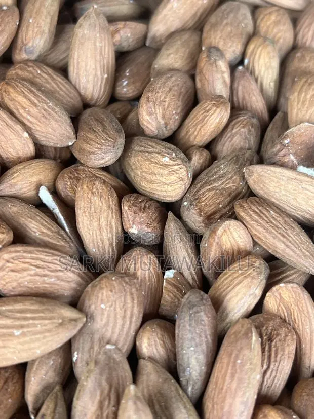 Almond Nut · Photo 4