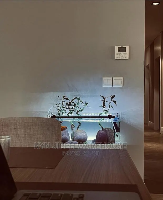 Lucky Tabletop Aquarium With Fishes · Photo 1