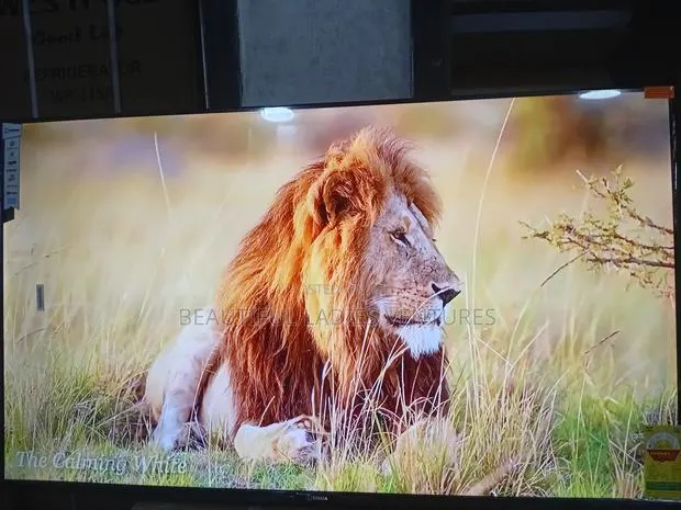 Sigma 55” Smart Led Tv – Next-Level Viewing · Photo 1