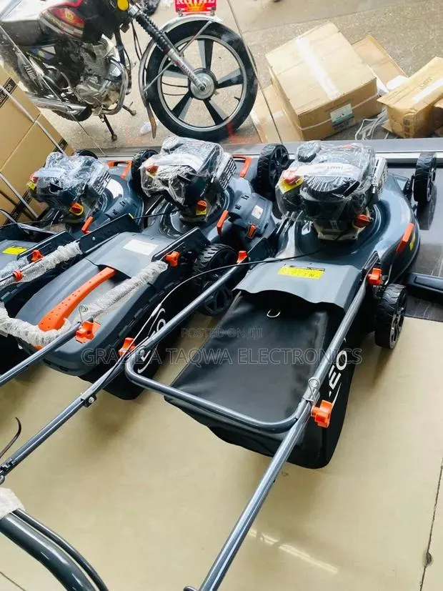 Electric Leo 4hp Lawn Mower · Photo 1