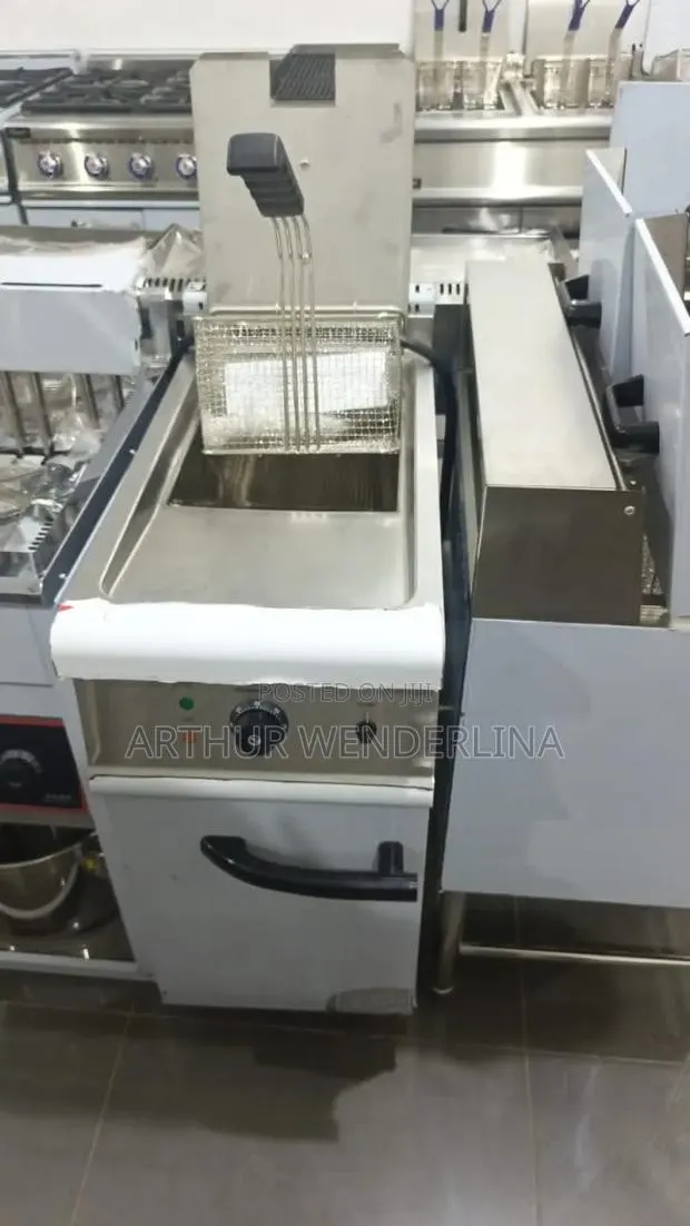 Commercial Standing Digital Fryer · Photo 1