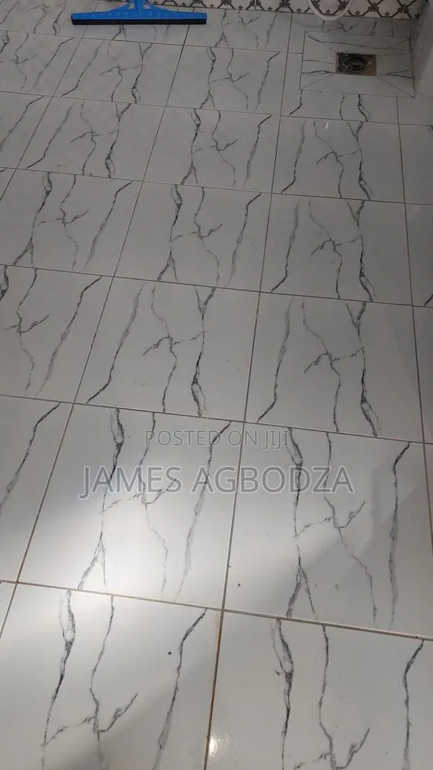 Floor and Wall Tiles Master · Photo 4