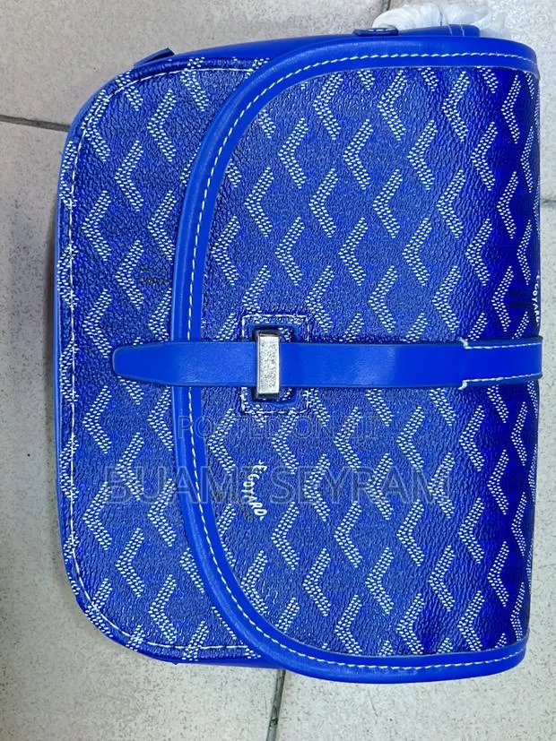 Goyard Blue Bag · Photo 1