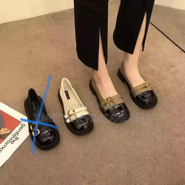 Elegant Flat Shoe · Photo 1