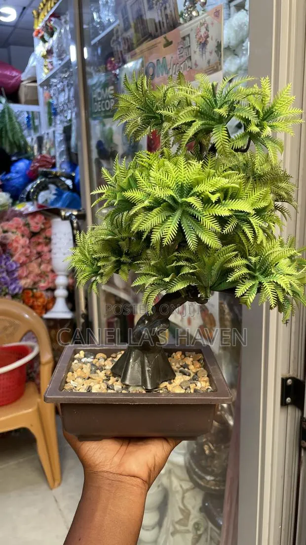 Artificial Bonsai Plant With Pot · Photo 1