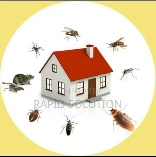 Dominators Pest Expert · Photo 1