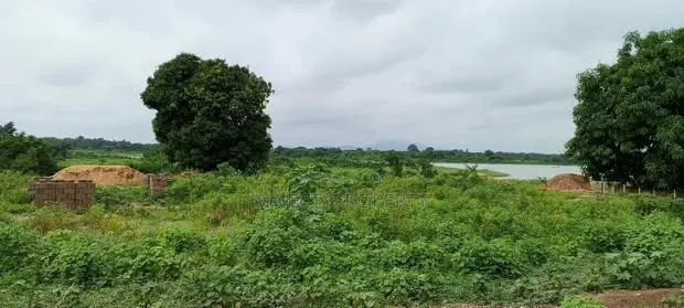 2000 Plots Of Land For Sale/Lease At V/R Dorfor Gborkpo · Photo 1