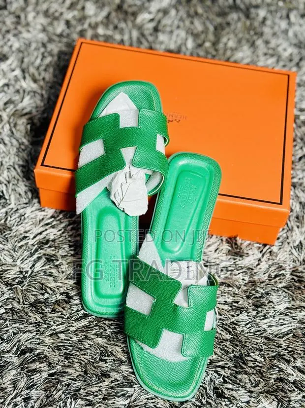 Green Hermes _ Ladies Slippers · Photo 1