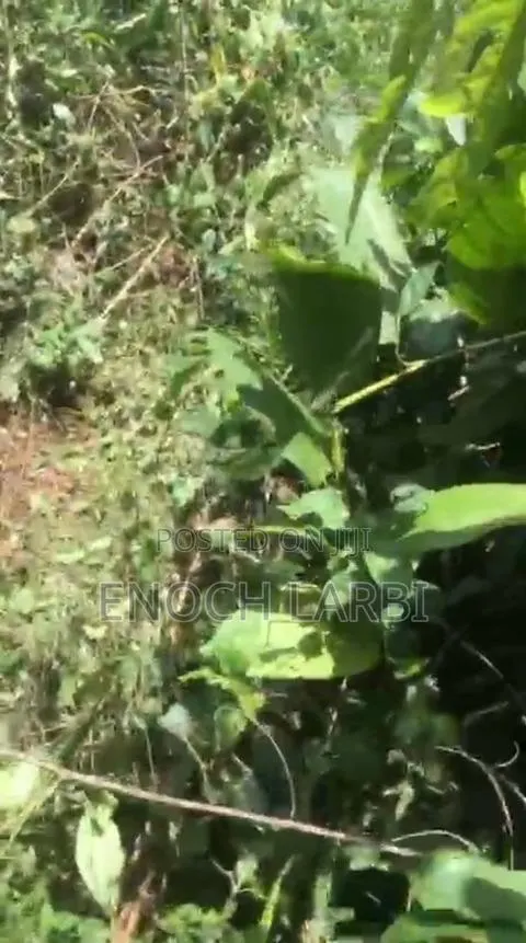 8.33 Acres Farmland for Sale, 1 Acre ( 4 Plots ) · Photo 2