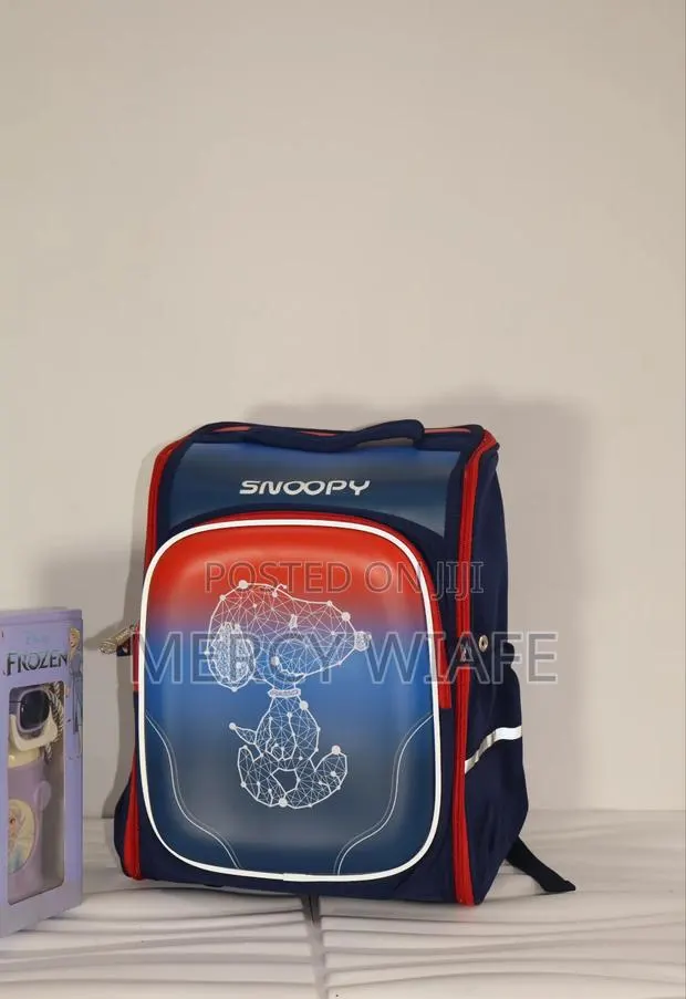 Classy School Bag · Photo 1