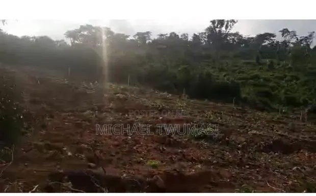 Registered Land for Sale: Aburi - Obosomase · Photo 1