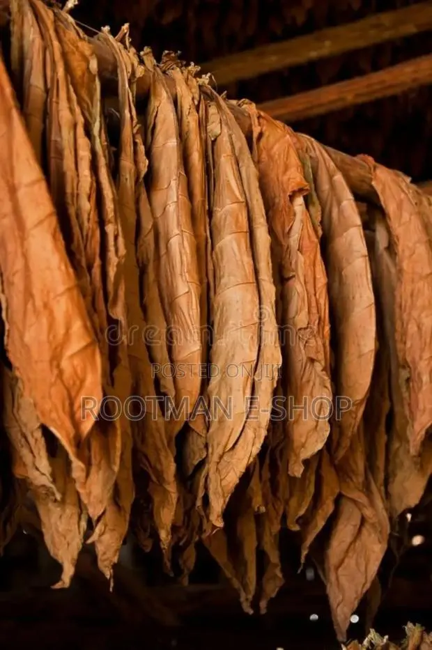 Pure Organic Tobacco Leaves ( Grabba ) . · Photo 1