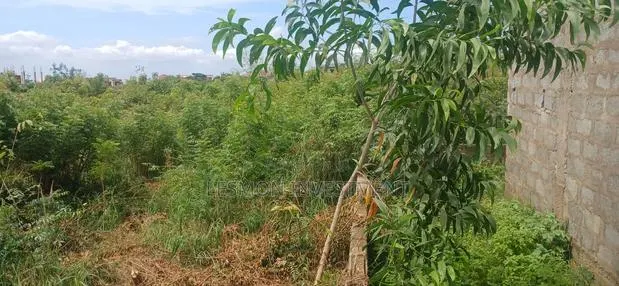 1 Acre Land at Valley View University Oyibi for Sale · Photo 1