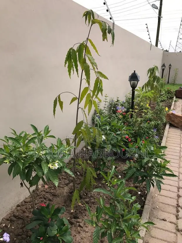 3bdrm House in Ridgeview Gardens, New Legon for sale · Photo 1