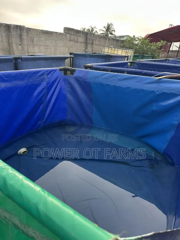 Tarpaulin Fish Tank + Catfish Fingerlings + Complete Starter Package · Photo 1