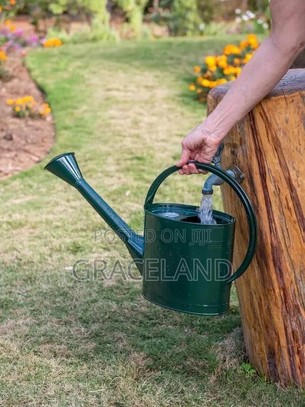 This Is Original Long Reach Watering Can Metal Large Can · Photo 1