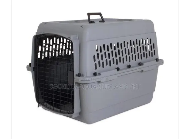 Plastic Dog Crate for Maltese Dogs · Photo 1