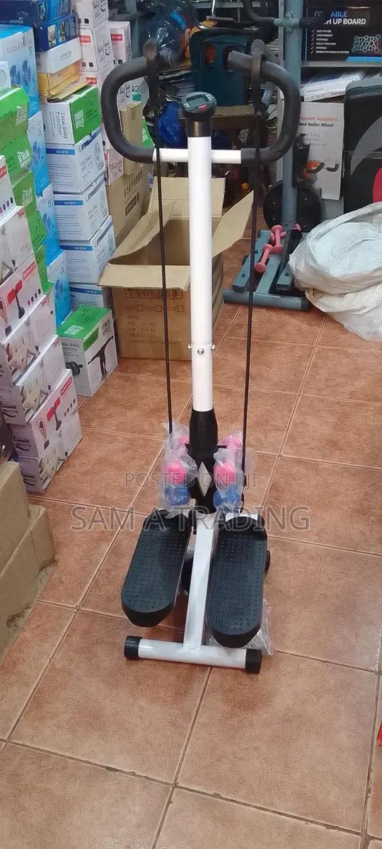 Adjustable Twister Stepper With Handle Bar Hand · Photo 1
