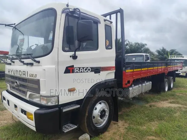 New Arrival, Hyundai Double Axle. Manual Engine · Photo 1