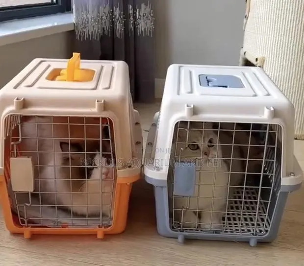 Cystal Plastic Cages for Dogs N Cat · Photo 1