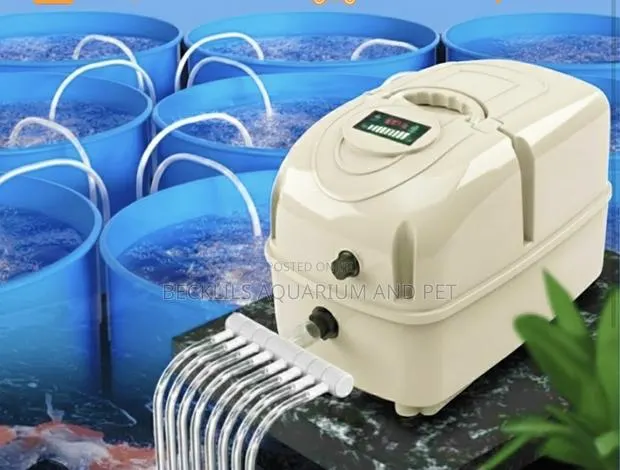 Halea AC/Dc Pump (6 Outlet) · Photo 1