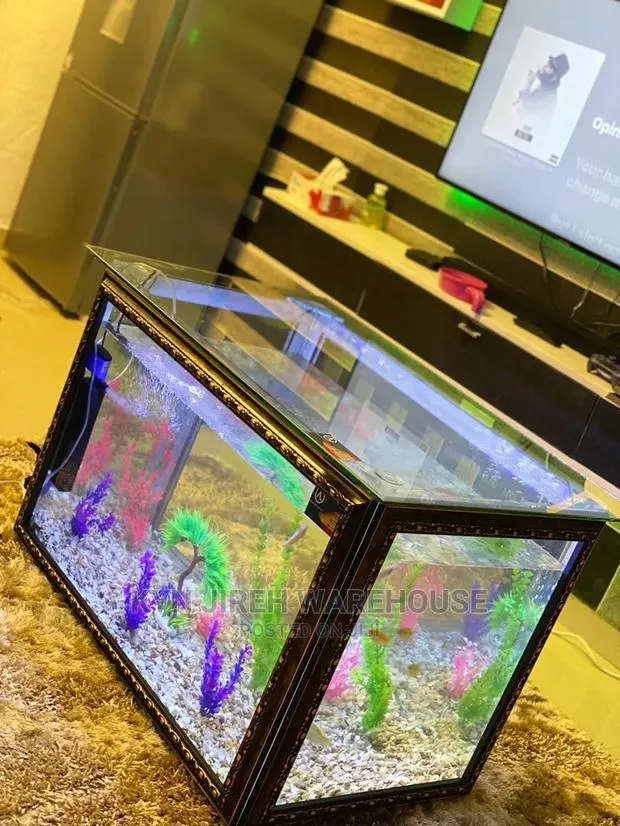 Center Table Aquarium With Fish · Photo 1