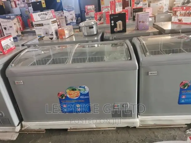 Delron 258L Deep Cooling Freezer · Photo 1