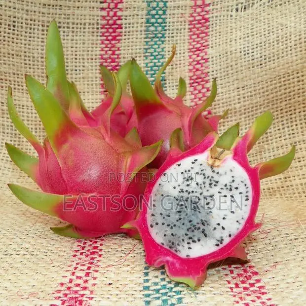 White Vietnam Dragon Fruits Exotic Fruits · Photo 2