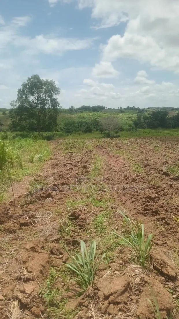 Land for Sale at Nsawam Otukwadwo · Photo 1