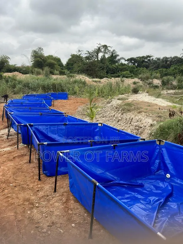 Tarpaulin Fish Tank · Photo 1